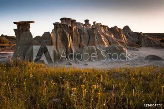 Picture of First light at sunrise at Theodore Roosevelt National Park ND